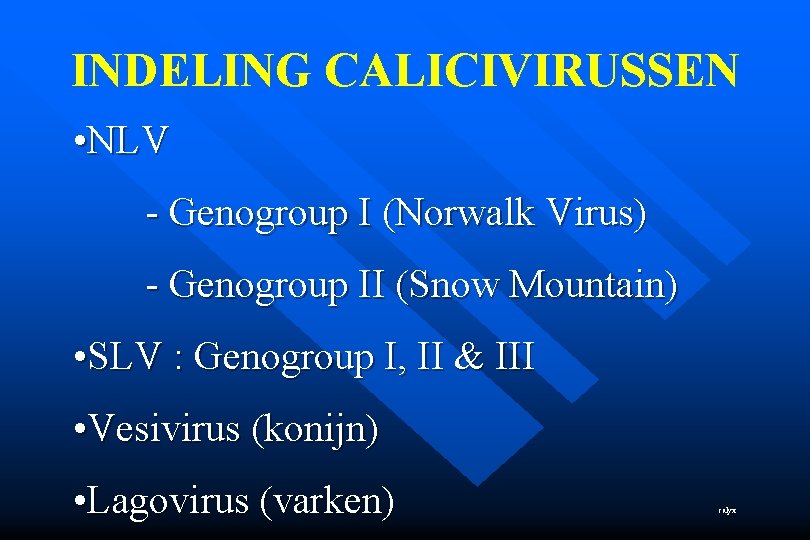 INDELING CALICIVIRUSSEN • NLV - Genogroup I (Norwalk Virus) - Genogroup II (Snow Mountain)