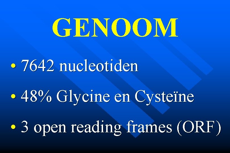 GENOOM • 7642 nucleotiden • 48% Glycine en Cysteïne • 3 open reading frames