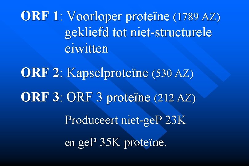 ORF 1: Voorloper proteïne (1789 AZ) gekliefd tot niet-structurele eiwitten ORF 2: Kapselproteïne (530