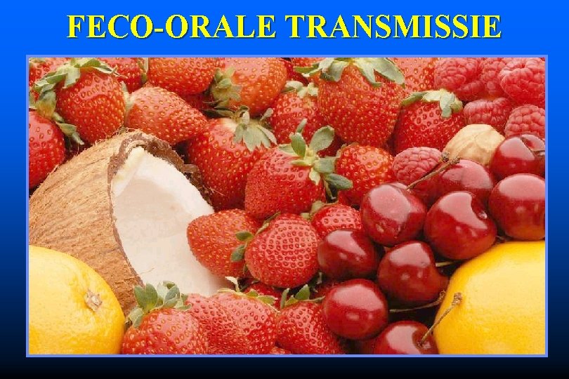 FECO-ORALE TRANSMISSIE 