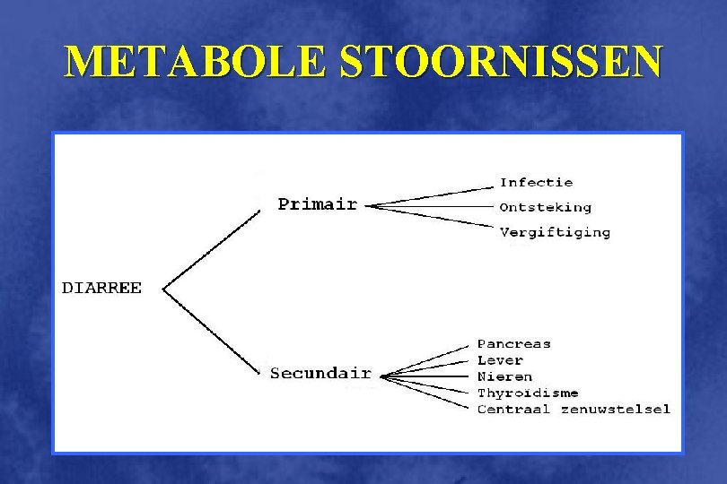 METABOLE STOORNISSEN 