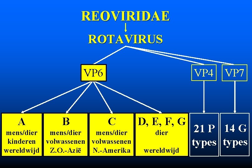 REOVIRIDAE ROTAVIRUS VP 6 A B VP 4 VP 7 C mens/dier kinderen volwassenen