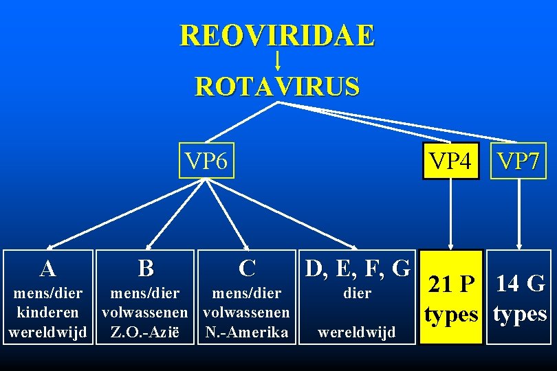 REOVIRIDAE ROTAVIRUS VP 6 A B VP 4 VP 7 C mens/dier kinderen volwassenen