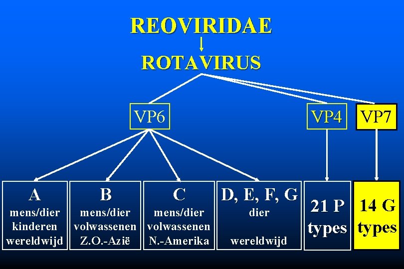 REOVIRIDAE ROTAVIRUS VP 6 A B VP 4 VP 7 C mens/dier kinderen volwassenen