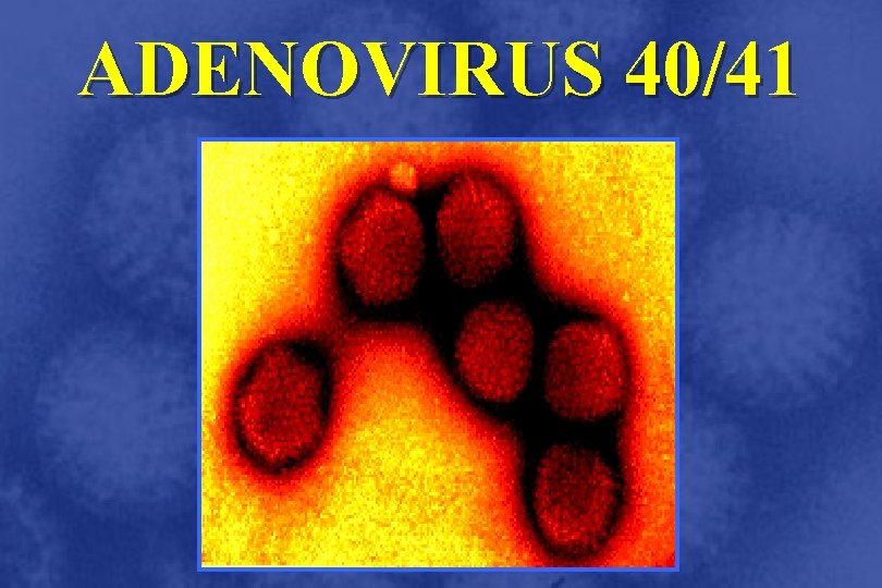 ADENOVIRUS 40/41 