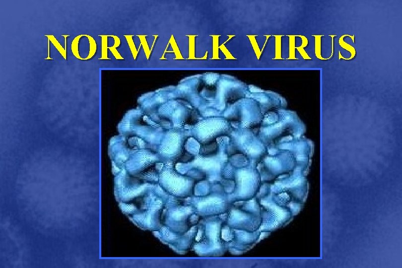 NORWALK VIRUS 