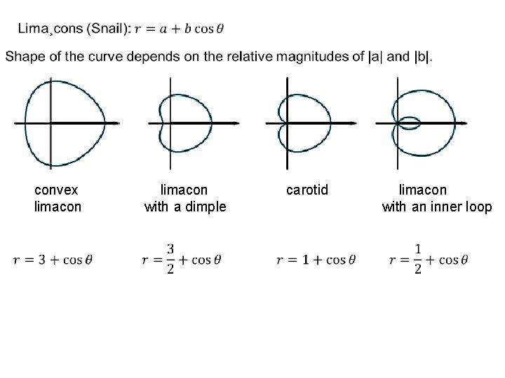  convex limacon carotid limacon with a dimple with an inner loop 