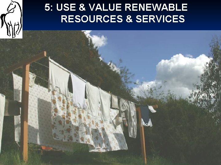 5: USE & VALUE RENEWABLE RESOURCES & SERVICES 