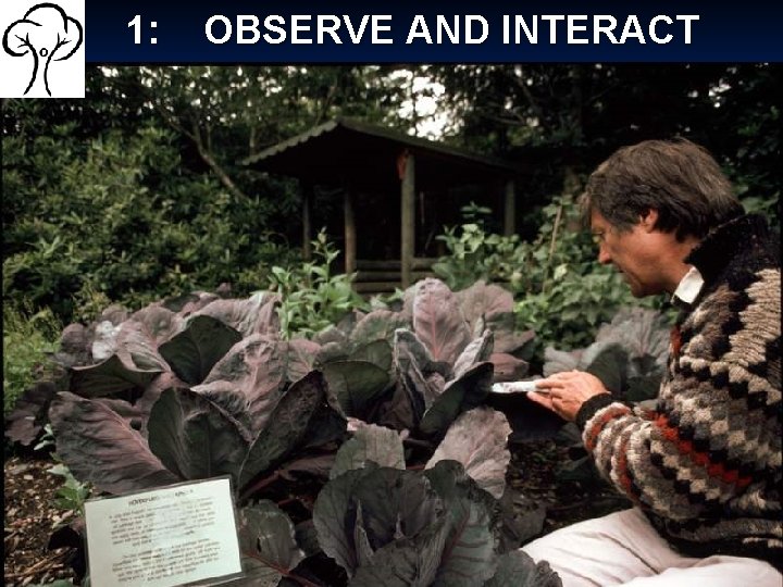 1: OBSERVE AND INTERACT 