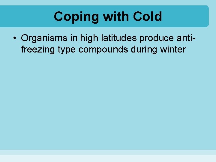Coping with Cold • Organisms in high latitudes produce antifreezing type compounds during winter