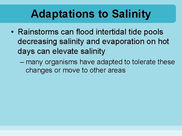 Adaptations to Salinity • Rainstorms can flood intertidal tide pools decreasing salinity and evaporation