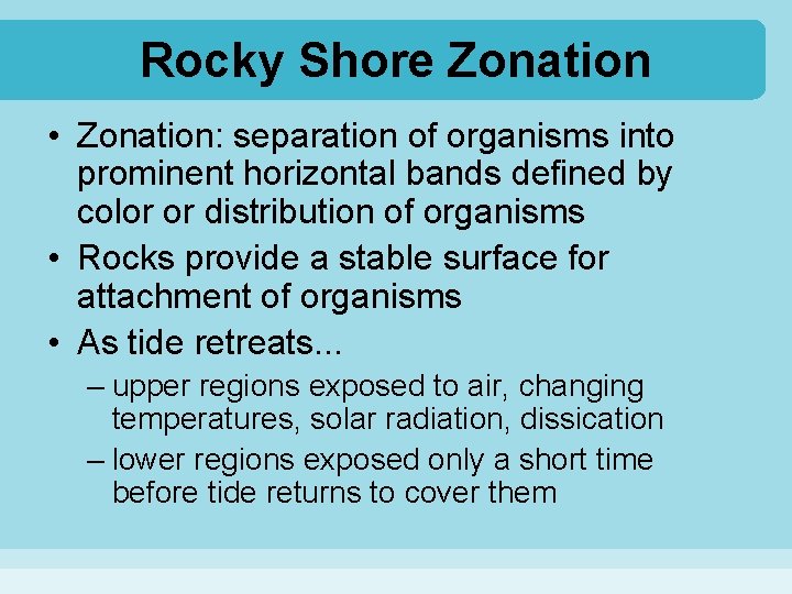 Rocky Shore Zonation • Zonation: separation of organisms into prominent horizontal bands defined by