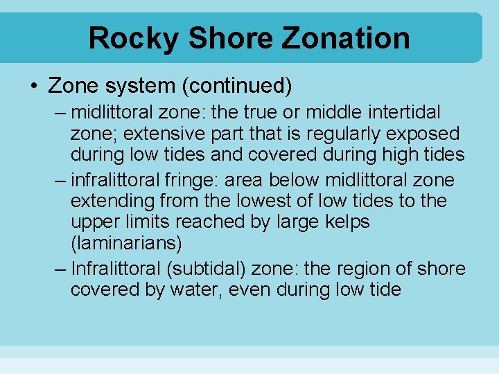Rocky Shore Zonation • Zone system (continued) – midlittoral zone: the true or middle