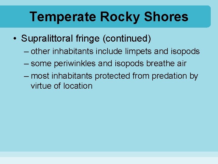 Temperate Rocky Shores • Supralittoral fringe (continued) – other inhabitants include limpets and isopods