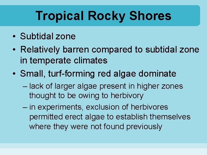 Tropical Rocky Shores • Subtidal zone • Relatively barren compared to subtidal zone in