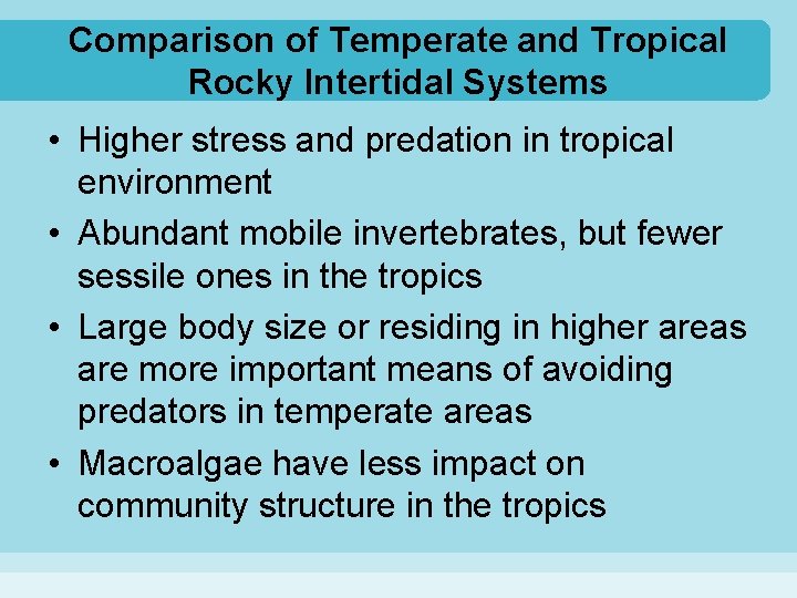 Comparison of Temperate and Tropical Rocky Intertidal Systems • Higher stress and predation in
