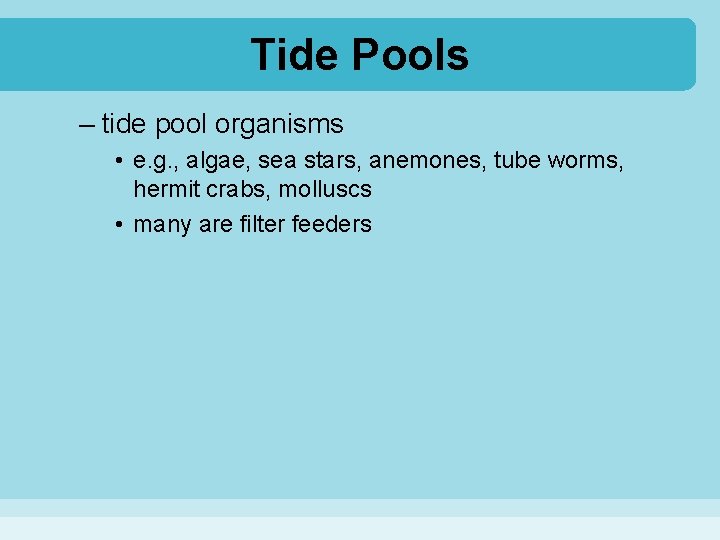 Tide Pools – tide pool organisms • e. g. , algae, sea stars, anemones,