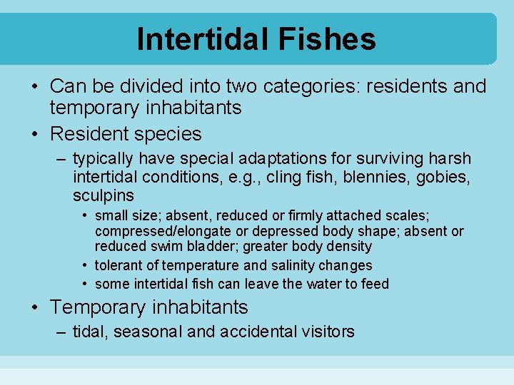 Intertidal Fishes • Can be divided into two categories: residents and temporary inhabitants •