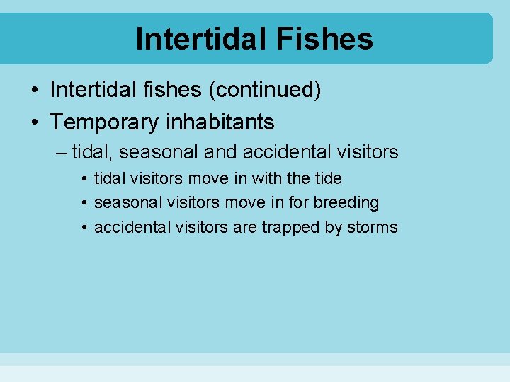 Intertidal Fishes • Intertidal fishes (continued) • Temporary inhabitants – tidal, seasonal and accidental