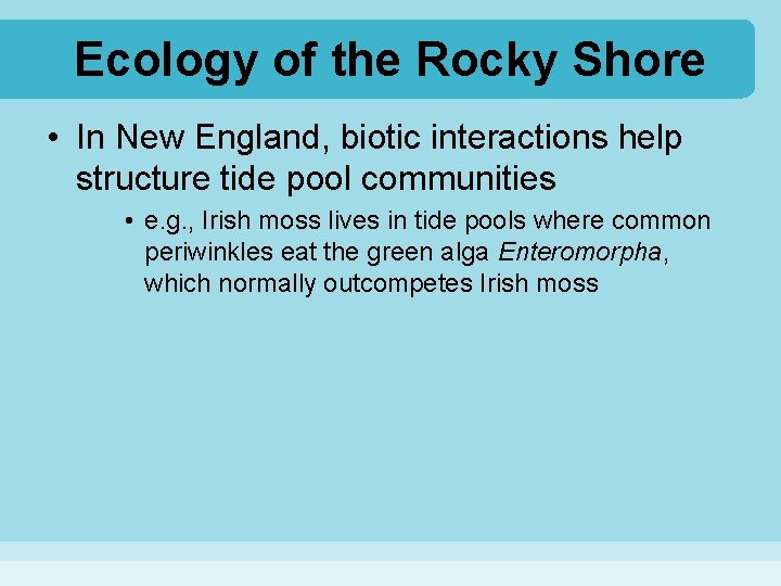 Ecology of the Rocky Shore • In New England, biotic interactions help structure tide