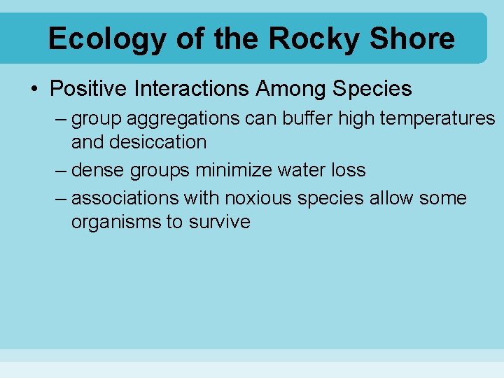 Ecology of the Rocky Shore • Positive Interactions Among Species – group aggregations can