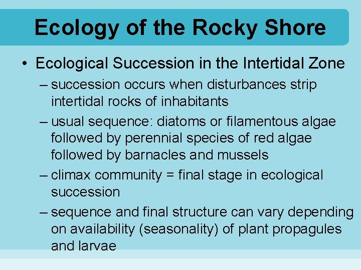 Ecology of the Rocky Shore • Ecological Succession in the Intertidal Zone – succession