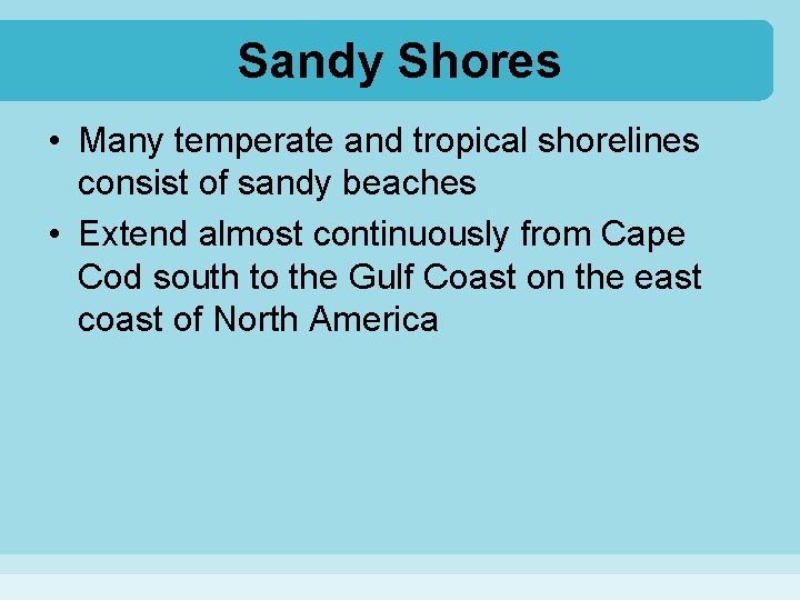Sandy Shores • Many temperate and tropical shorelines consist of sandy beaches • Extend