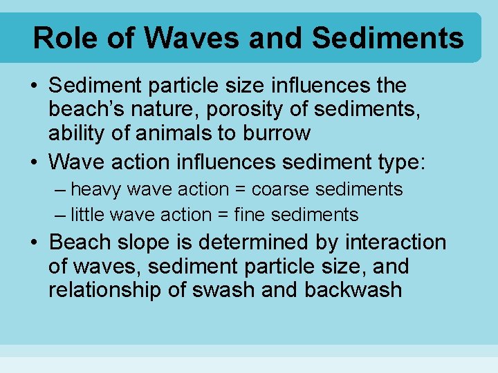 Role of Waves and Sediments • Sediment particle size influences the beach’s nature, porosity