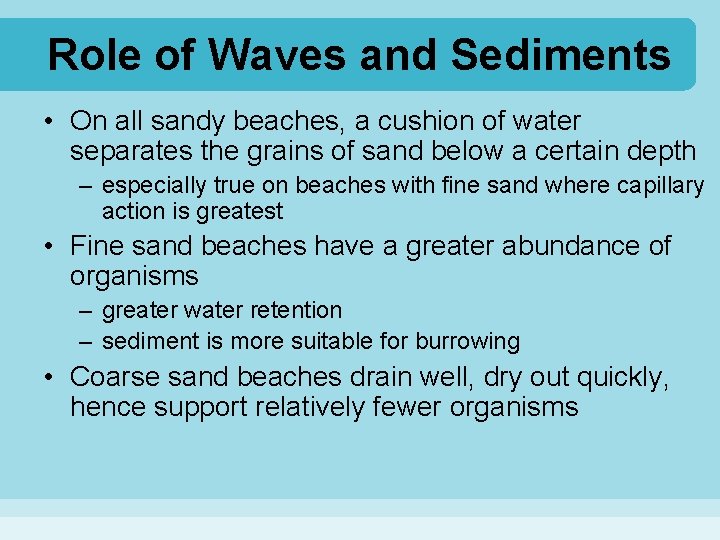 Role of Waves and Sediments • On all sandy beaches, a cushion of water