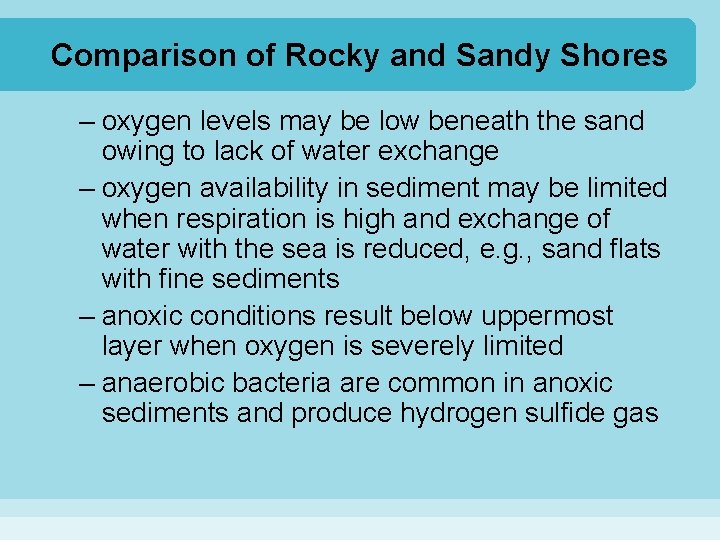 Comparison of Rocky and Sandy Shores – oxygen levels may be low beneath the