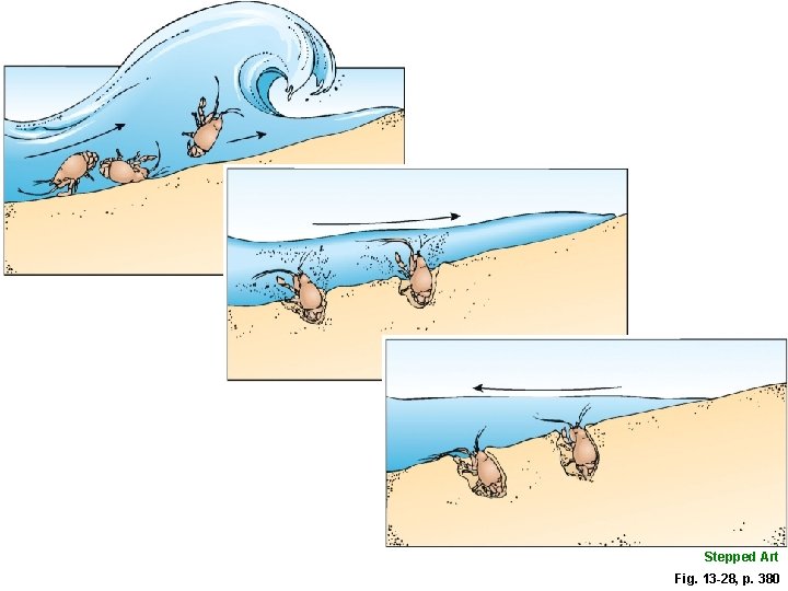 Stepped Art Fig. 13 -28, p. 380 
