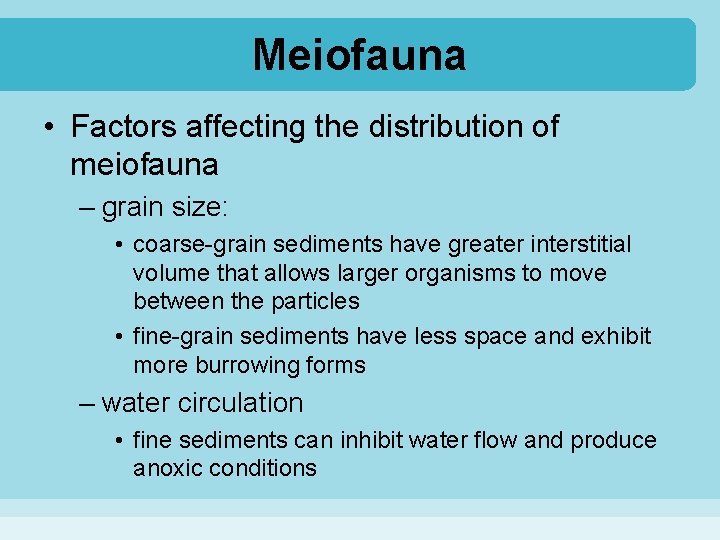 Meiofauna • Factors affecting the distribution of meiofauna – grain size: • coarse-grain sediments