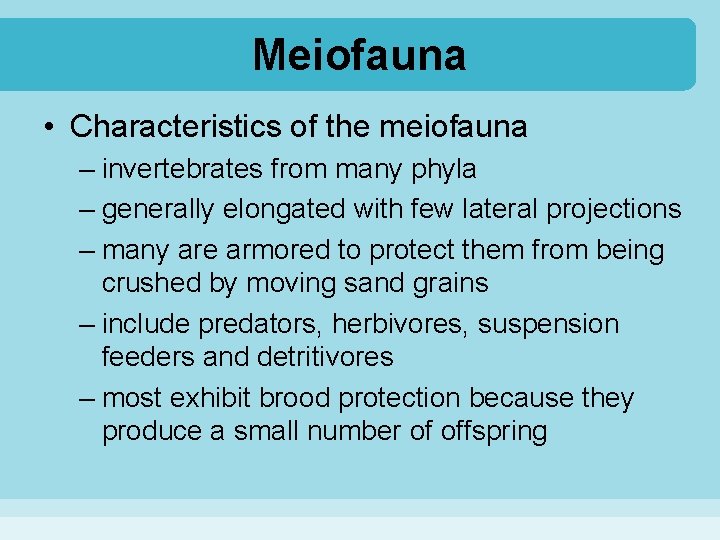 Meiofauna • Characteristics of the meiofauna – invertebrates from many phyla – generally elongated