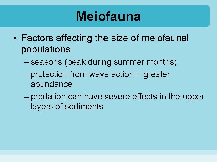 Meiofauna • Factors affecting the size of meiofaunal populations – seasons (peak during summer