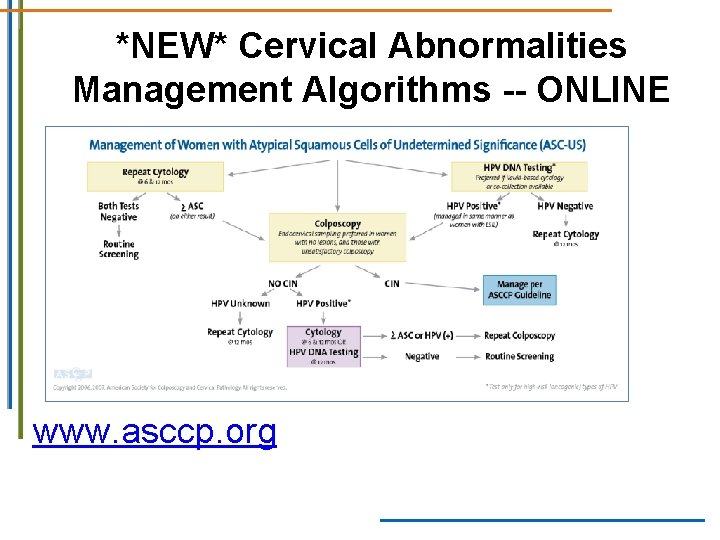*NEW* Cervical Abnormalities Management Algorithms -- ONLINE www. asccp. org *NEW* Cervical Abnormalities Management Algorithms -- ONLINE www. asccp. org