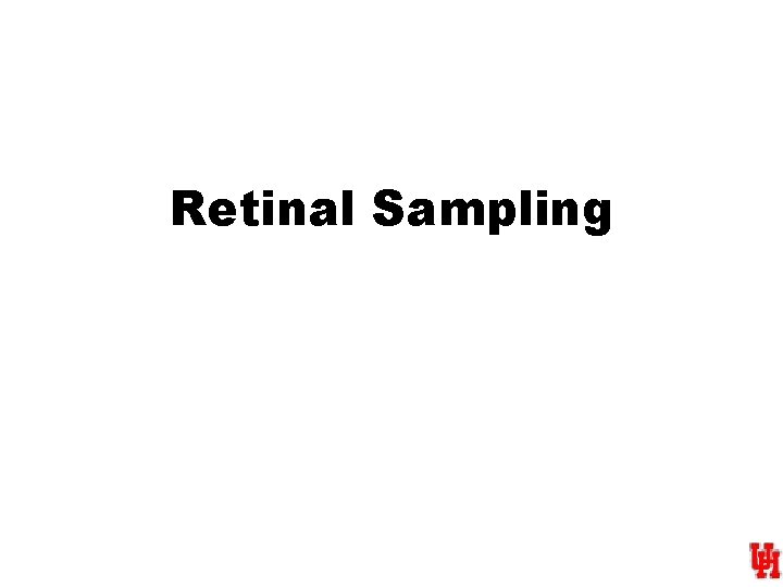 Retinal Sampling 