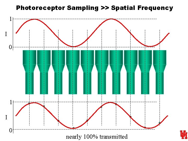 Photoreceptor Sampling >> Spatial Frequency 1 I 0 nearly 100% transmitted 