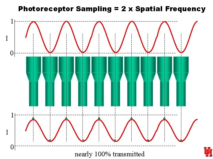 Photoreceptor Sampling = 2 x Spatial Frequency 1 I 0 nearly 100% transmitted 