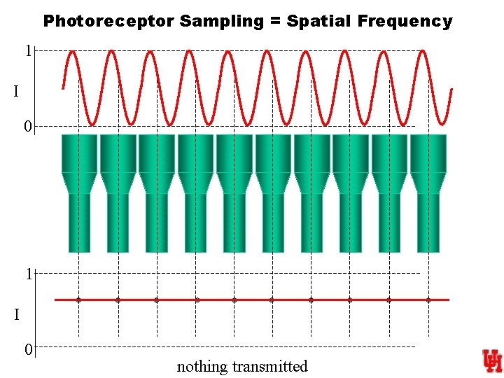 Photoreceptor Sampling = Spatial Frequency 1 I 0 nothing transmitted 