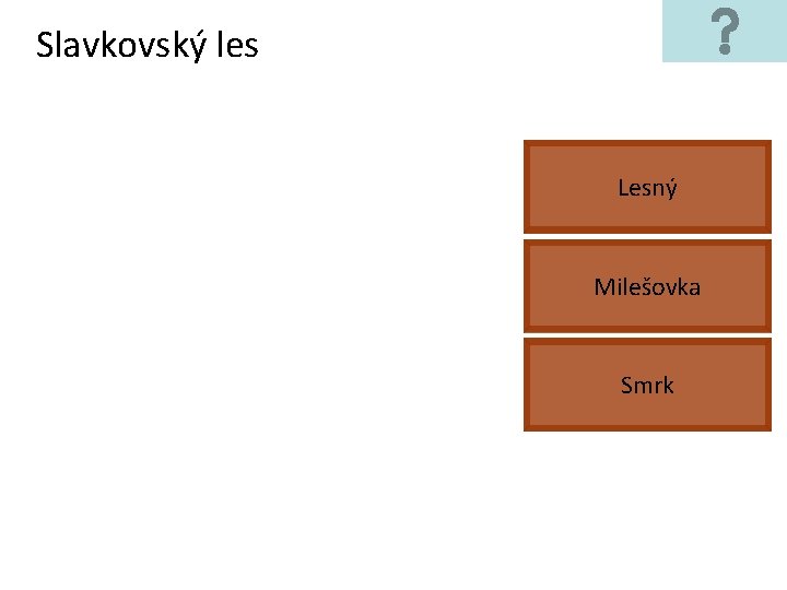 Slavkovský les Lesný Milešovka Smrk 