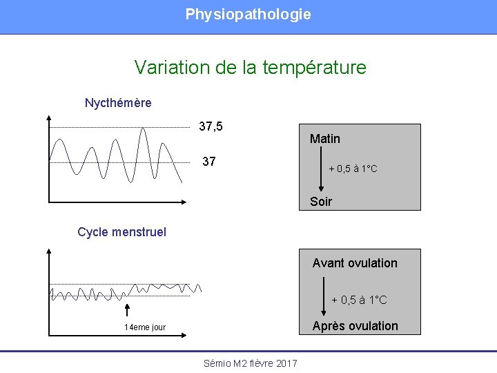 Physiopathologie Variation de la température Nycthémère 37, 5 37 Matin + 0, 5 à