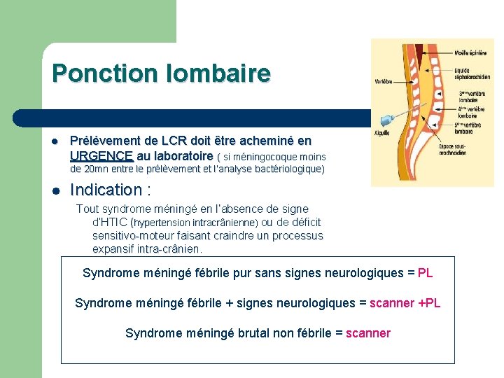 Ponction lombaire l Prélévement de LCR doit être acheminé en URGENCE au laboratoire (