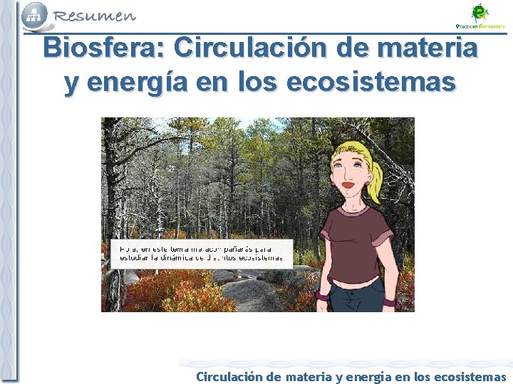 Biosfera: Circulación de materia y energía en los ecosistemas 