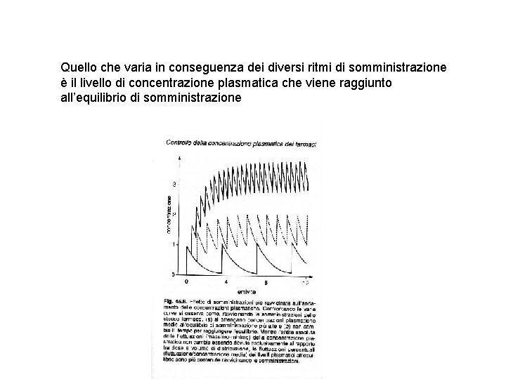 Quello che varia in conseguenza dei diversi ritmi di somministrazione è il livello di