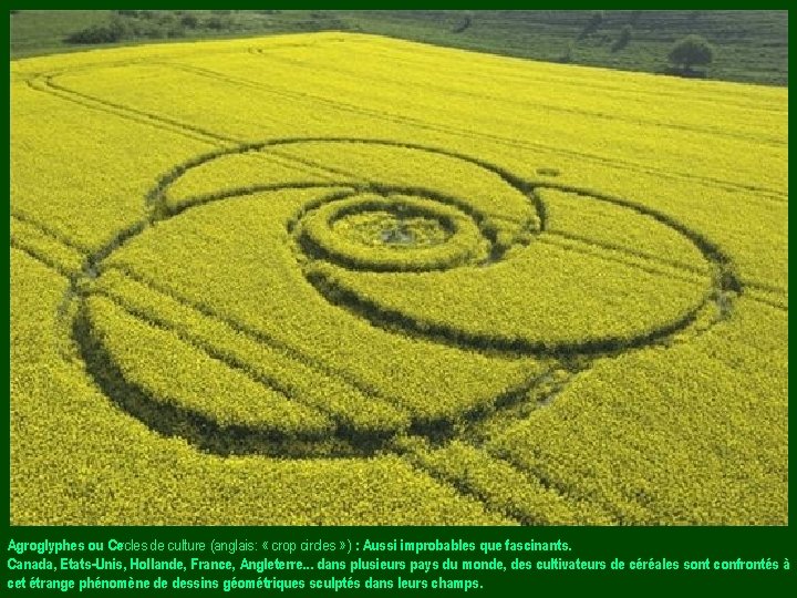 Agroglyphes ou Cercles de culture (anglais: « crop circles » ) : Aussi improbables