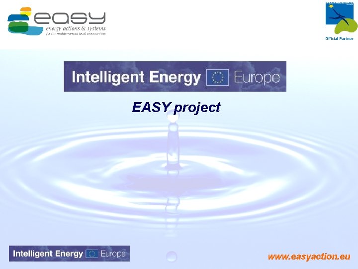 EASY project www. easyaction. eu 