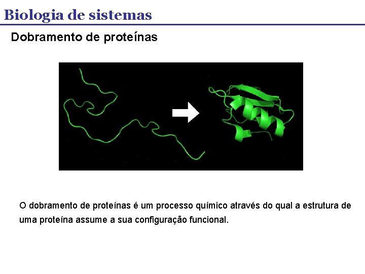 Biologia de sistemas Dobramento de proteínas O dobramento de proteínas é um processo químico
