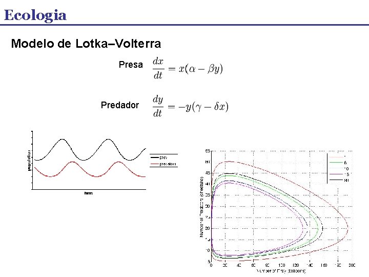 Ecologia Modelo de Lotka–Volterra Presa Predador 