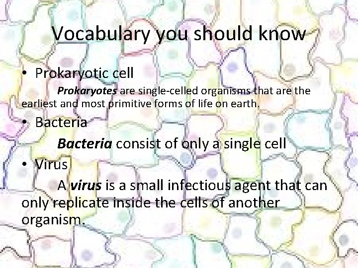Vocabulary you should know • Prokaryotic cell Prokaryotes are single-celled organisms that are the Vocabulary you should know • Prokaryotic cell Prokaryotes are single-celled organisms that are the