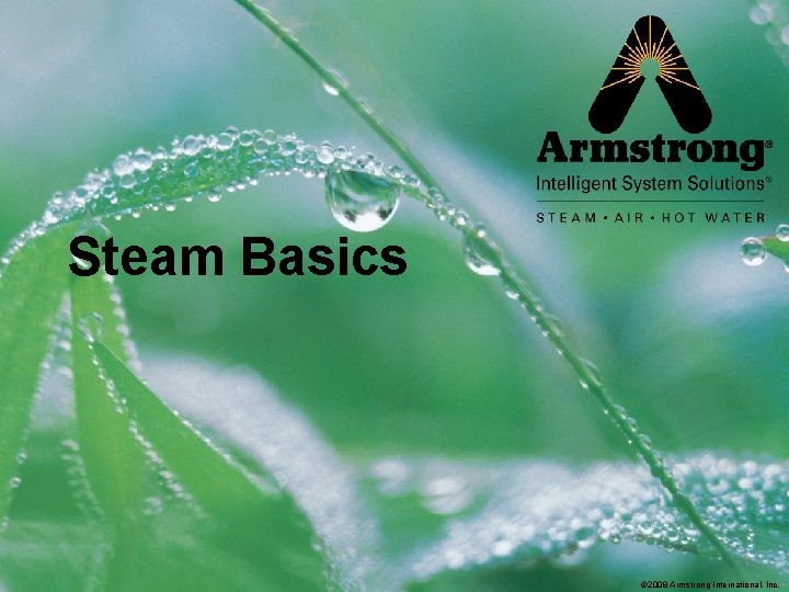 Steam Basics © 2008 Armstrong International, Inc. 